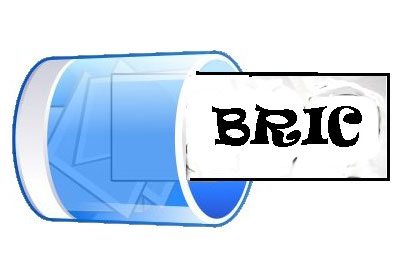<font color=red>BRIC summit concludes with calls for greater voice of emerging economies in international financial institutions </font>