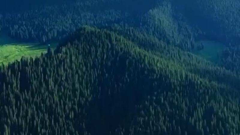 Tianshan Mountains: Cradle of Life, Guardian of Ancient Civilization