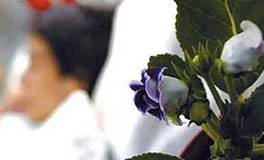 ��Ц�涾����������Ȧ������̬��<br><br>