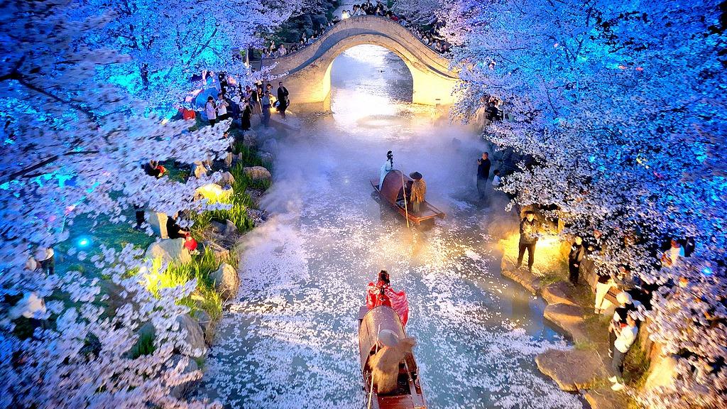 Nantong Zhouji Fantasy Island: A stunning night of cherry blossoms and light!