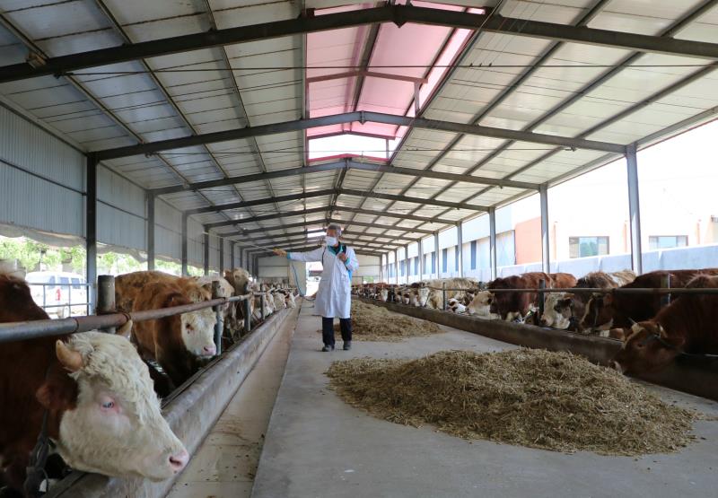 阳信县标准化养殖场