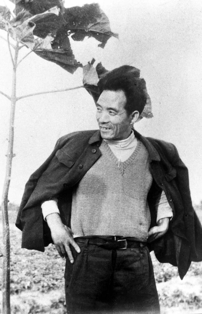 1963年的春天,焦裕禄身披上衣、双手叉腰,身旁是一株刚刚栽下的泡桐树苗。(资料图)