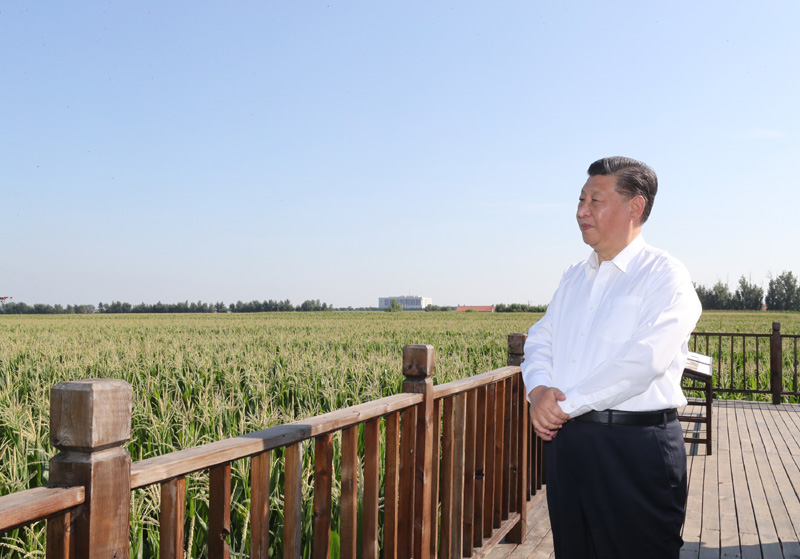 2020年7月22日,习近平总书记考察吉林四平市梨树县国家百万亩绿色食品原料(玉米)标准化生产基地核心示范区地块。