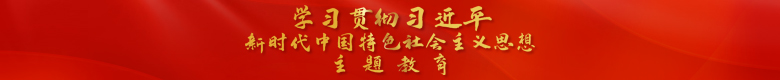 学习贯彻习近平新时代中国特色社会主义思想主题教育