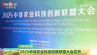 2025中非农业科技创新联盟大会召开