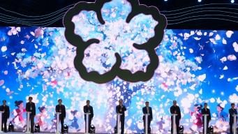 “春风有意 梨花含情” 第31届砀山梨花节开幕