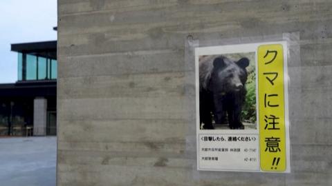 一天五人遭熊袭日本红叶季旅游业受创_新闻频道_央视网(cctv.com)