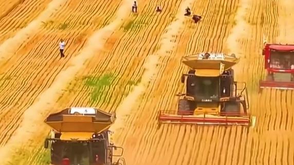 妙用“大字板”，简中见真章、繁中见万象