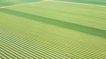 再延长30年 农村承包地二轮到期延包整省试点全面开展