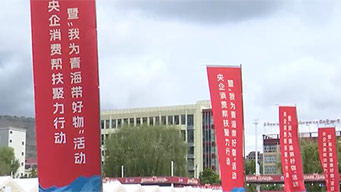 央企消费帮扶聚力行动暨“我为青海带好物”活动启幕