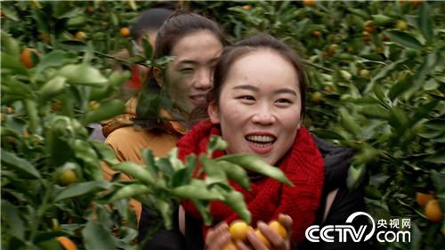 [致富经]海归姑娘进山盯上金蛋蛋 5个字换来2500万 20190225 