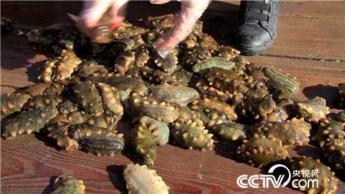 [致富经]美容院女老板改行下海 捞出千万财 20190228 