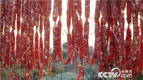 [致富经]一个习惯 年卖千万 他让财富满山跑 20190314 