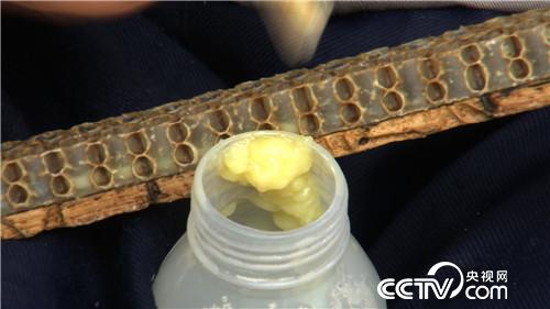 [致富经]30岁辞职创业 山里&ldquo;找&rdquo;出百万财富 20190321