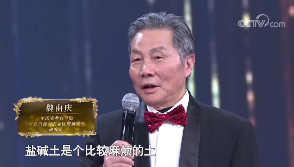 魏由庆老师讲述盐碱地治理改变民生的故事