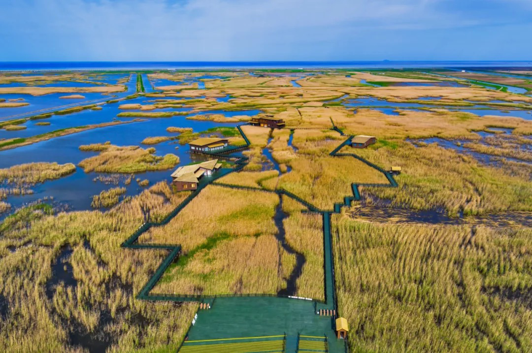 上海崇明花开海上精致蝶变世界级生态岛风光更美好