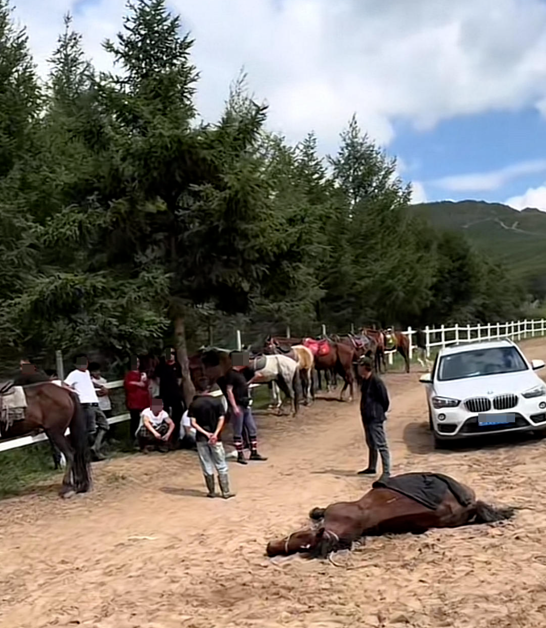 马匹死亡游客赔7000元，被讹还是暴力骑马？当地文旅局回应_新闻频道_央视网(cctv.com)