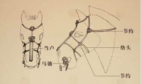 马饰位置示意图，来源于章丘区博物馆