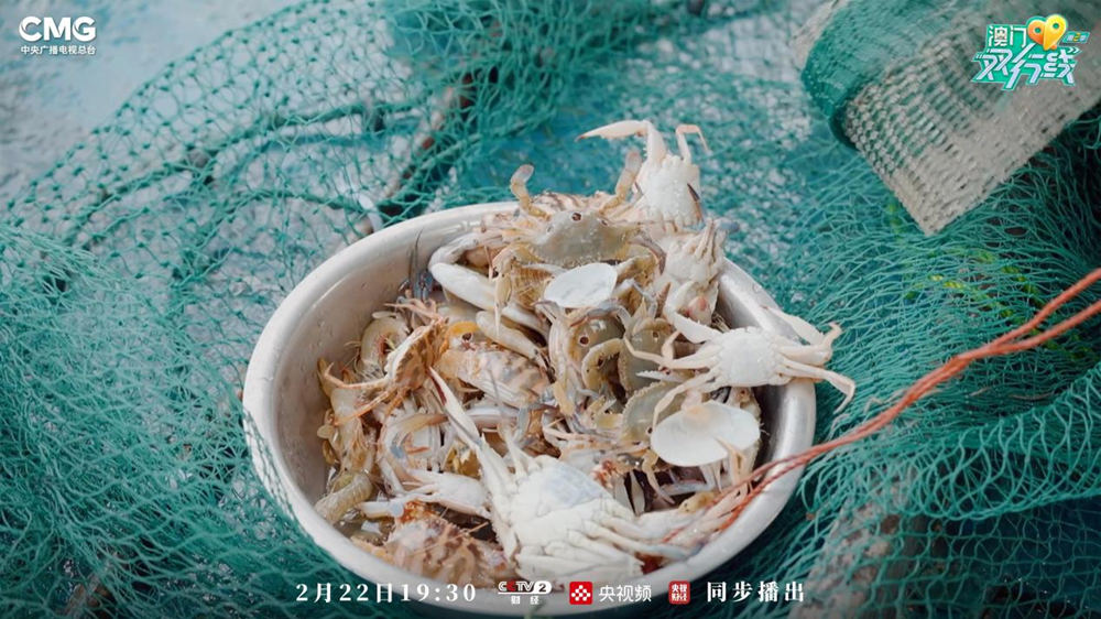 探寻澳门的海韵与烟火 《澳门双行线（第二季）》开启“乘风逐浪”之旅_新闻频道_央视网(cctv.com)