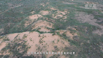 报效祖国 建功西部｜25年青春接力 他们把论文“种”在荒漠里