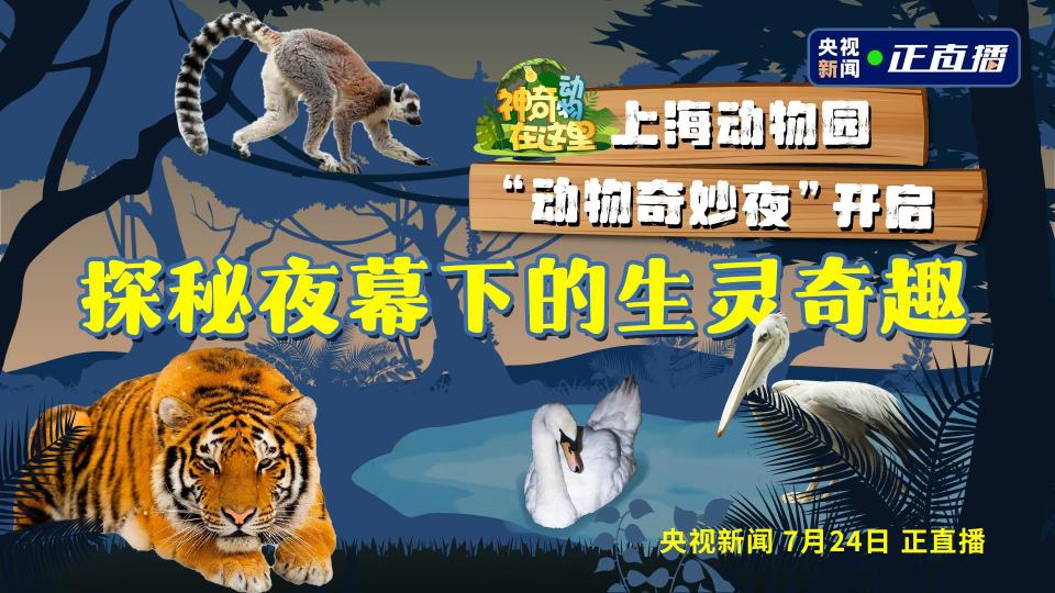 总台周看点丨暑极万物盛！