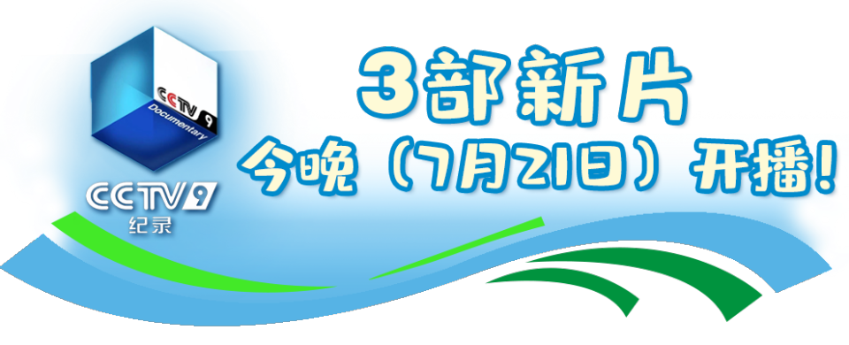总台周看点丨暑极万物盛！