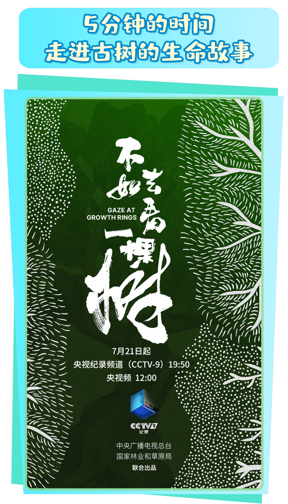 总台周看点丨暑极万物盛！