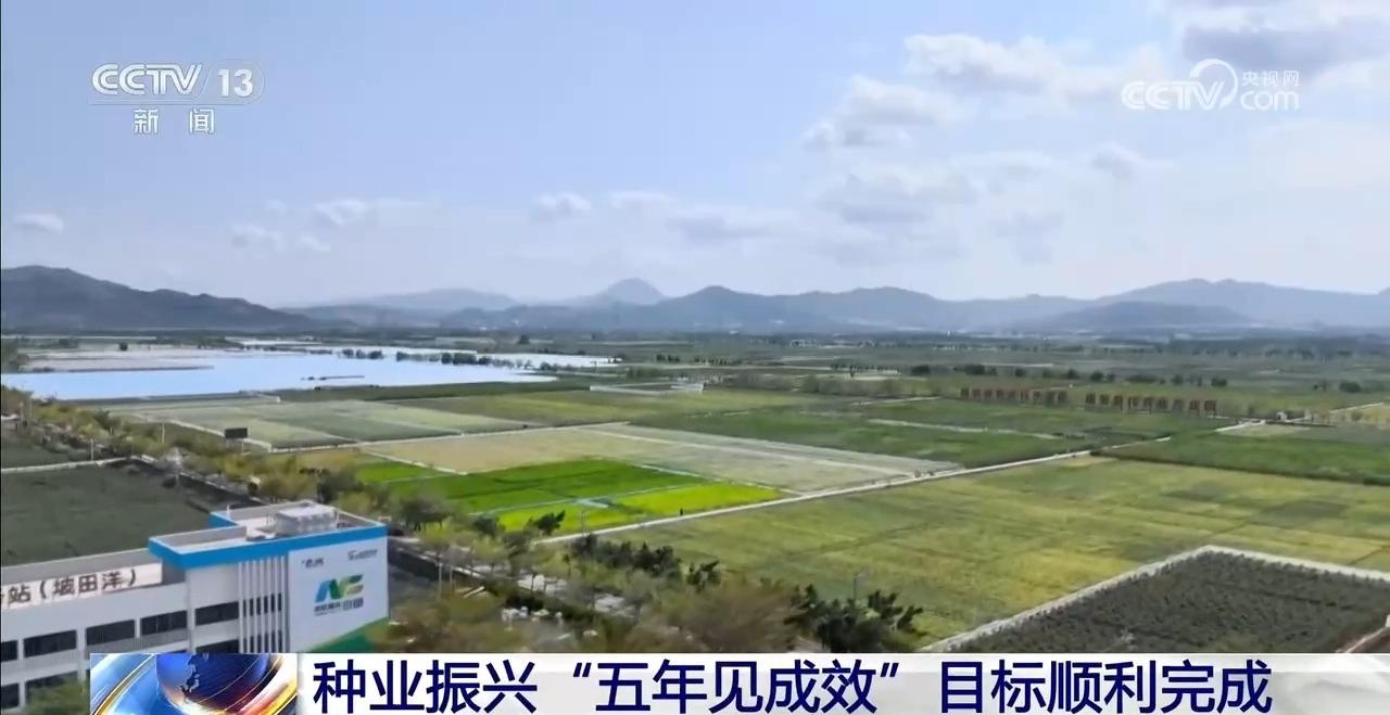 让“中国粮”主要用“中国种” 我国完成种业振兴“五年见成效”目标_新闻频道_央视网(cctv.com)