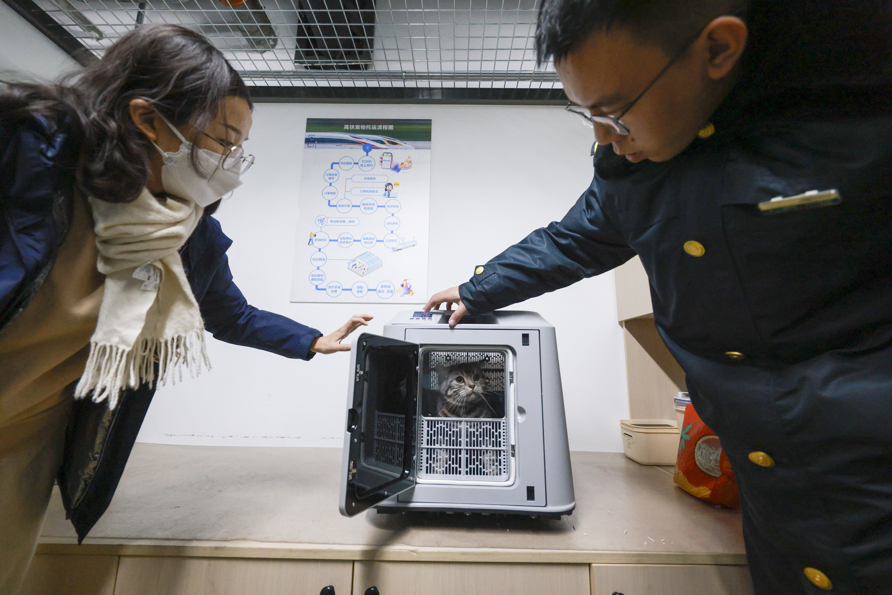 （一名宠物主人带猫咪前往中铁快运营业点进行托运。受访者供图。）