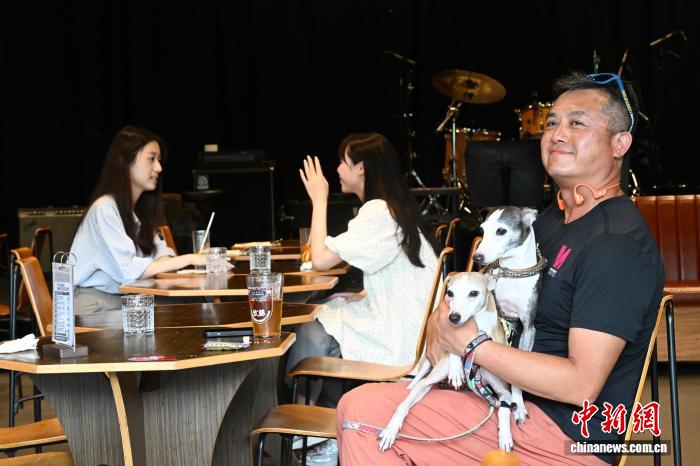 7月9日，香港首批食肆正式允许顾客携带犬只入内用餐。图为香港民众携带犬只在食肆内用餐。中新社记者 李志华 摄